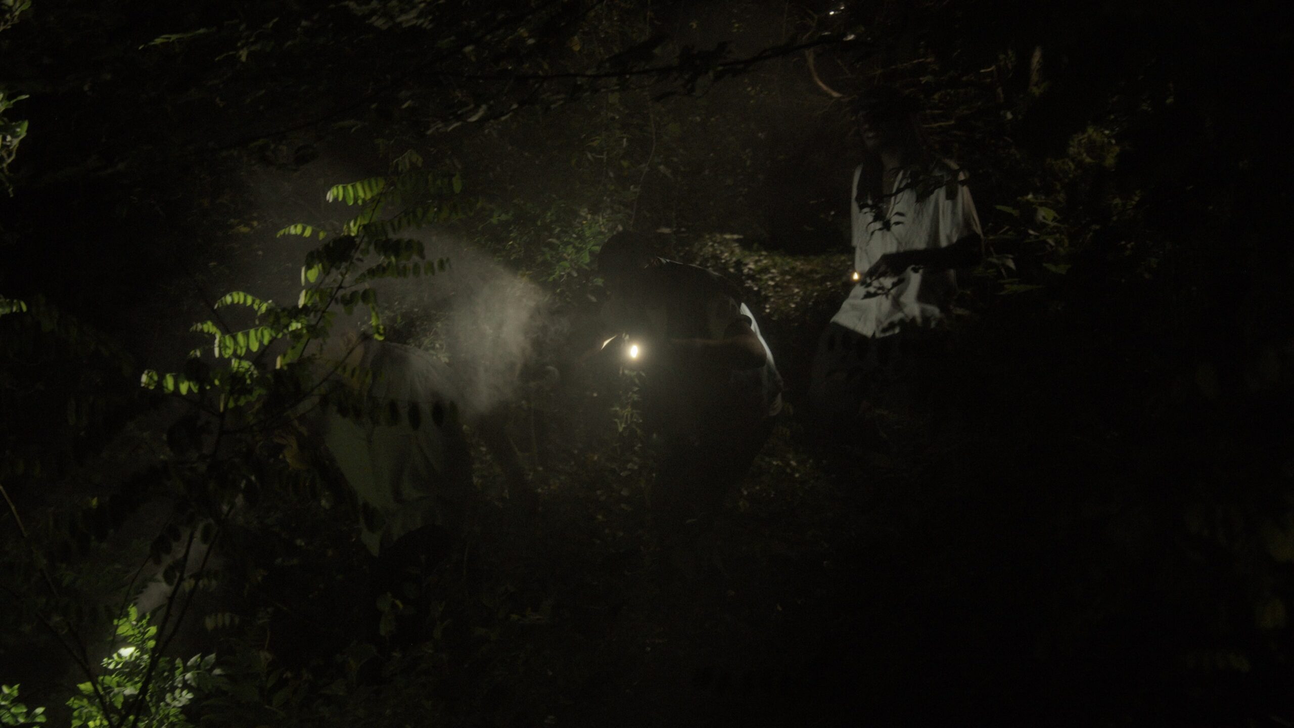 music ; video ; clip ; witchcraft ; summer mist ; arthur bourguignon ; dop ; brussels