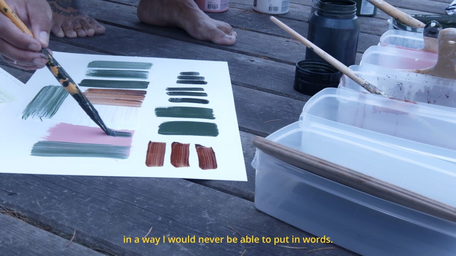 clip ; video ; promotionnal ; dop ; brussels ; angelica spinardi ; pensee sauvage ; video ; drone ; paint ; nature